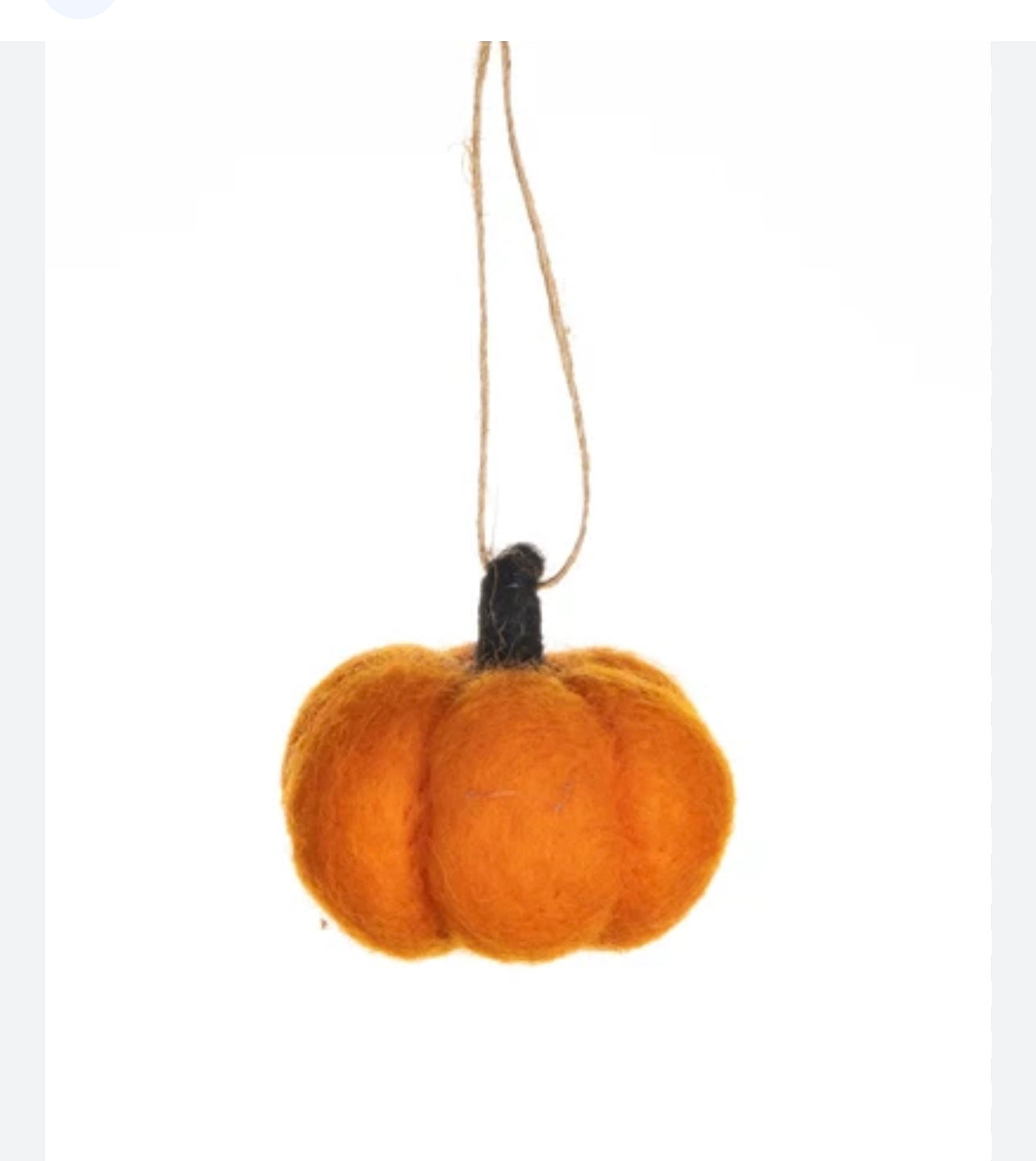 A a sweet fuzzy autumn pumpkin