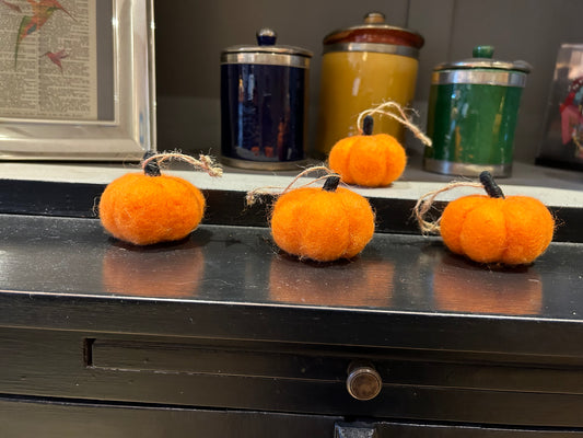 A a sweet fuzzy autumn pumpkin