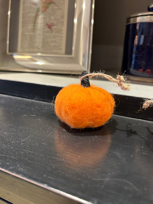 A a sweet fuzzy autumn pumpkin
