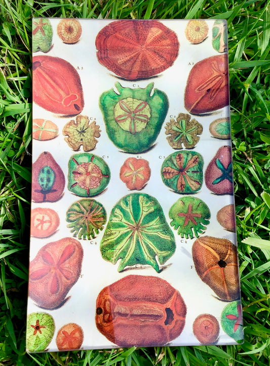 Vintage decoupage glass plate - "Heirloom market garden"
