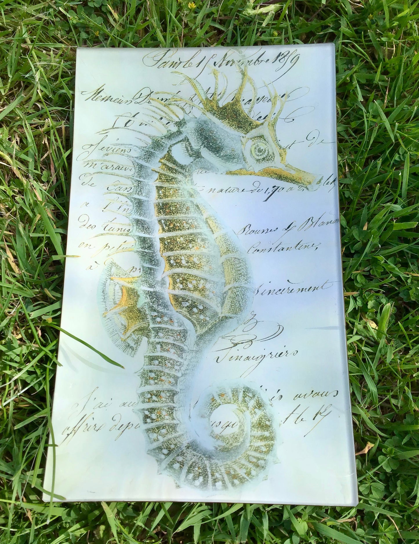 Vintage decoupage glass plate - Seahorse