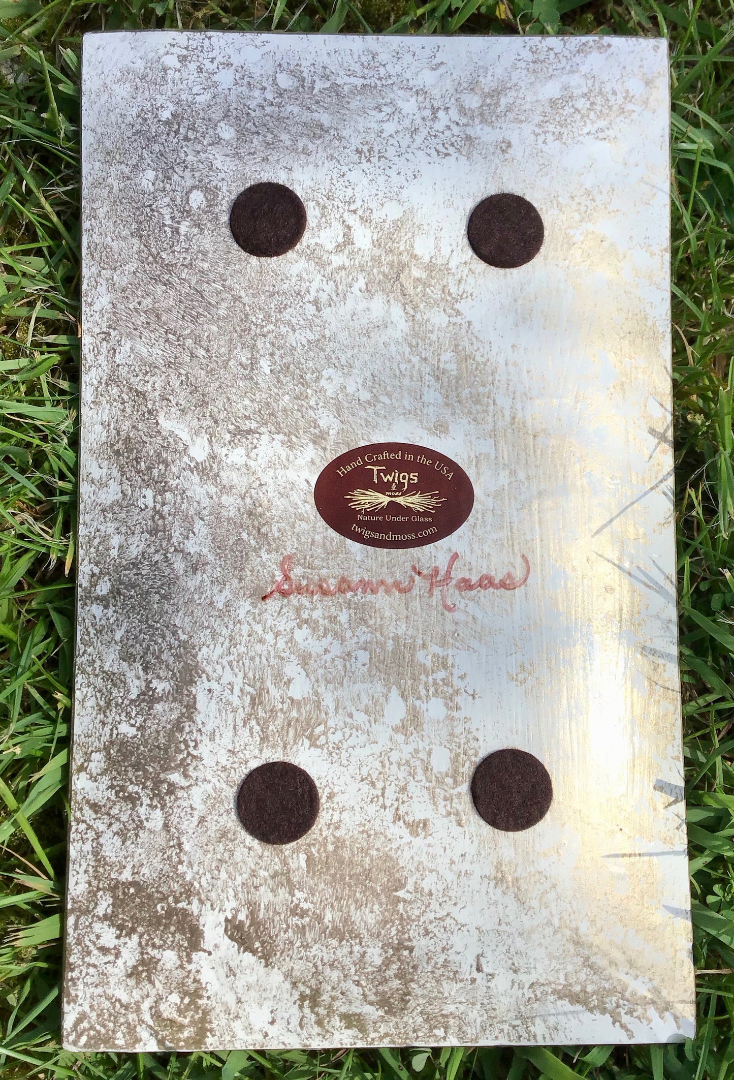 Vintage decoupage glass plate - Seahorse