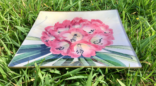 vintage paper glass plate