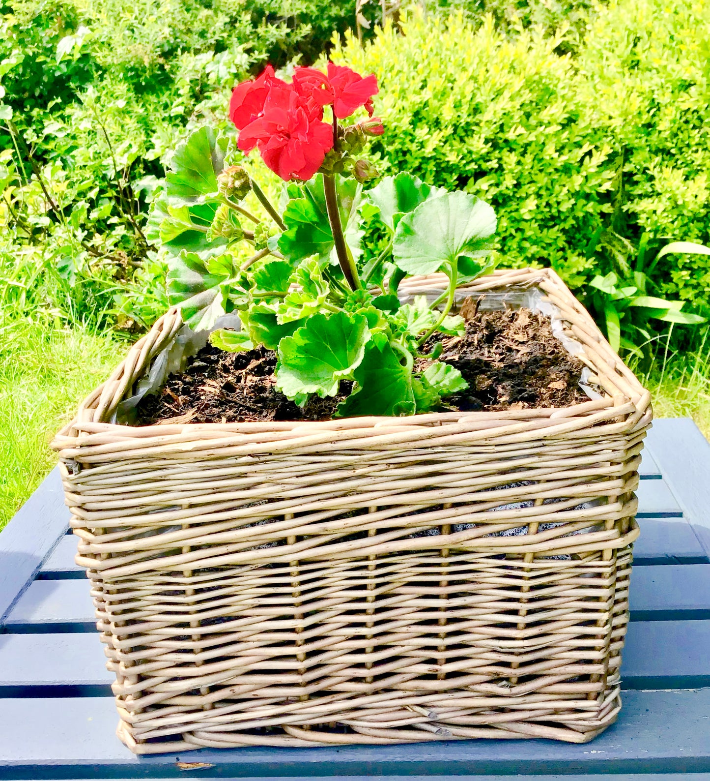 Willow Garden Planters - large or small