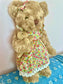 Traditional Teddy Bear