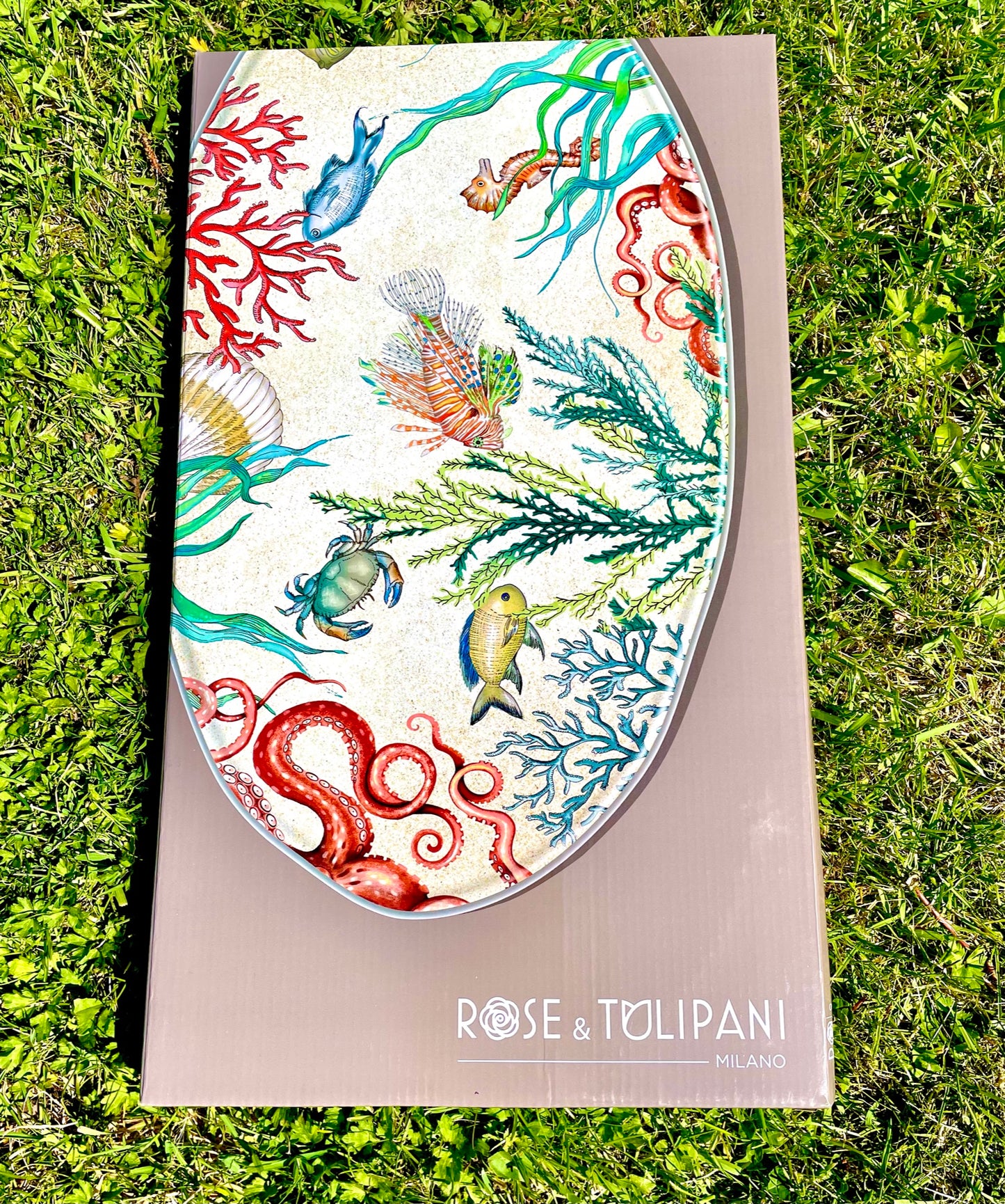 "Sea Life "melamine summer dining set  for 6 by Rose & Tulipani for 6