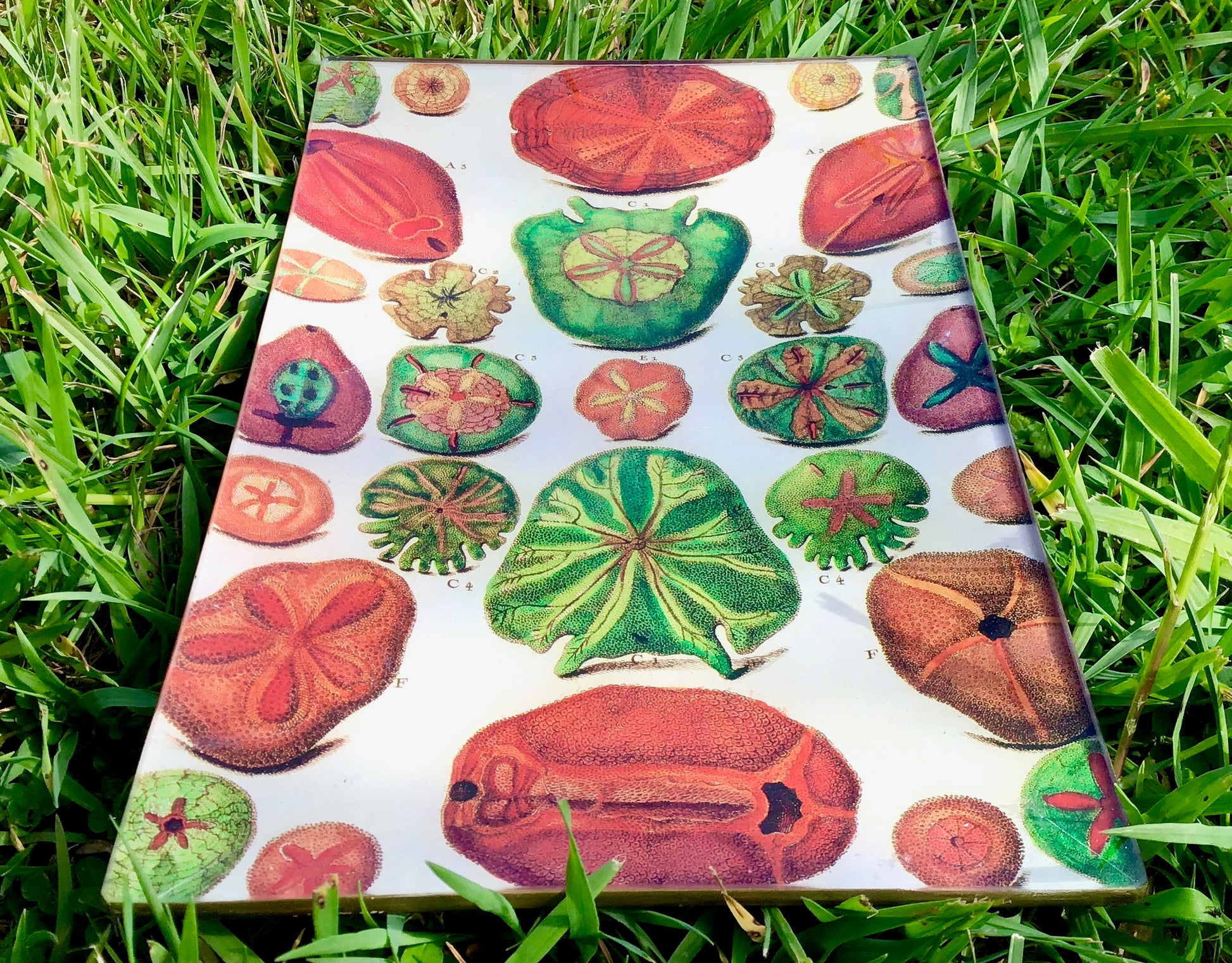 decorative glass plate