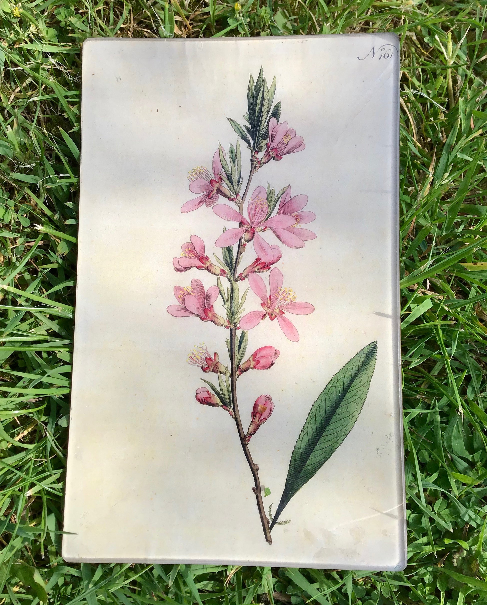 Vintage decoupage glass plate - Pink Blossom