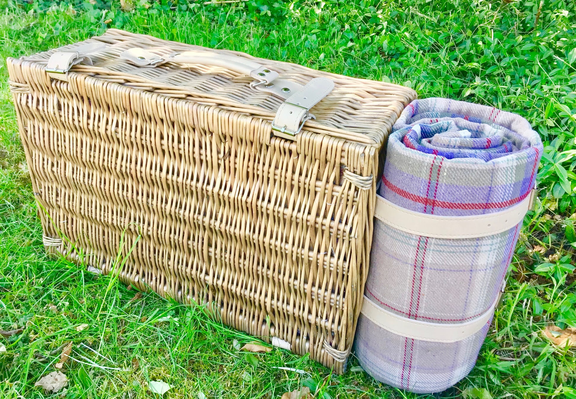trunk willow picnic hamoer