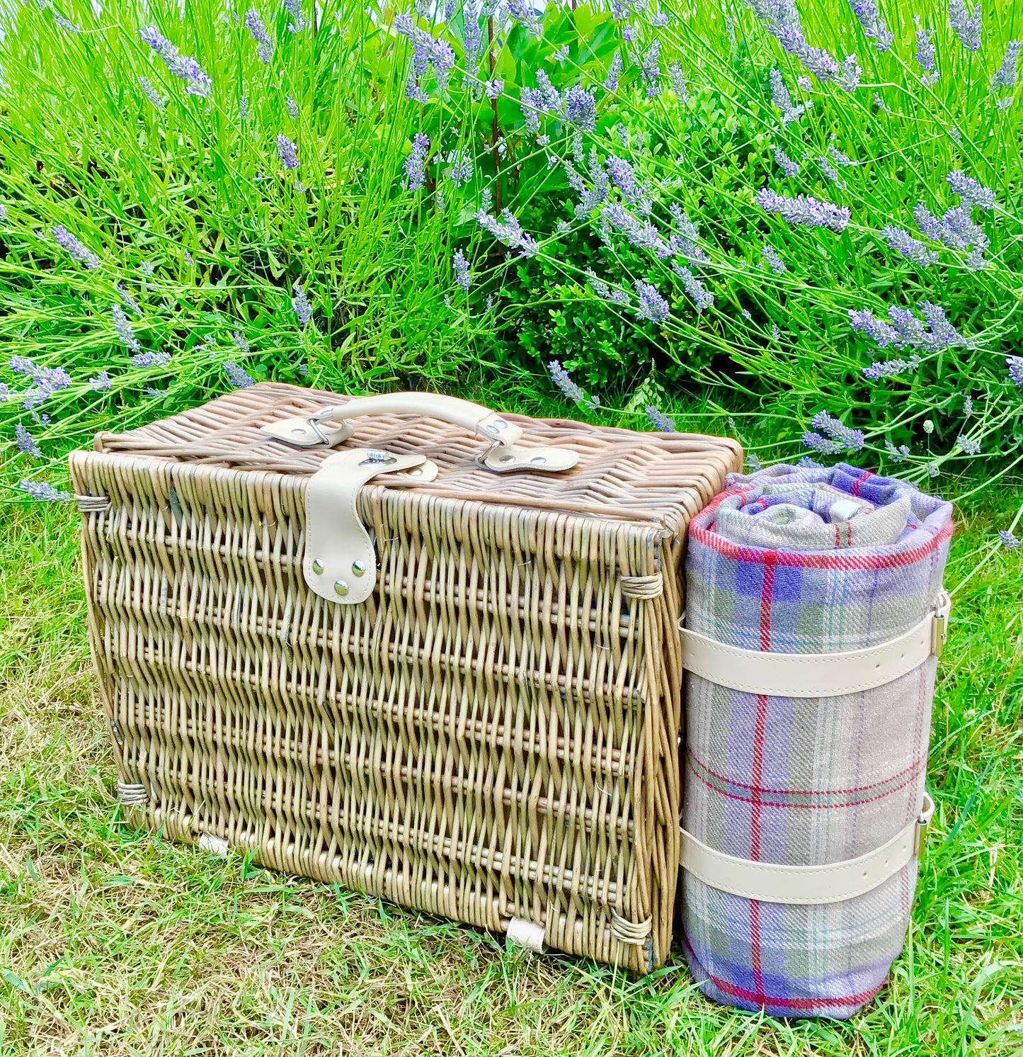 picnic hamper with rug