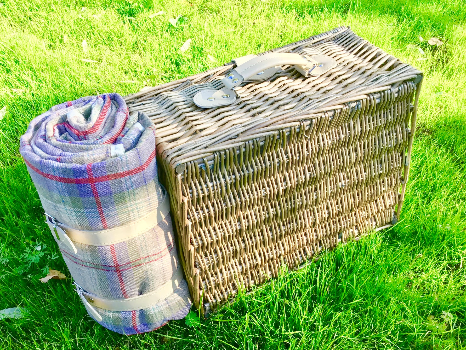 trunk picnic hamoer with twwwd rug